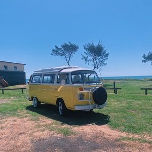 Meet your Posher, Kelsi